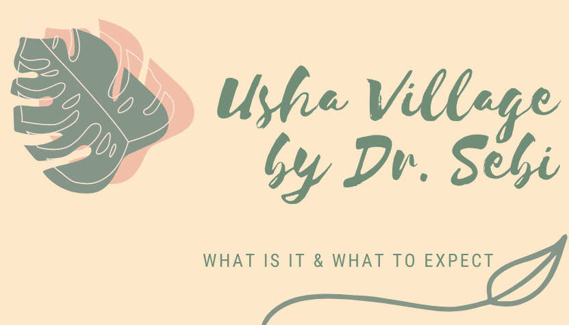 What Is It & What to Expect
